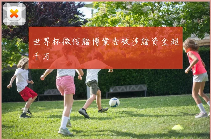 世界杯微信赌博案告破涉赌资金超千万