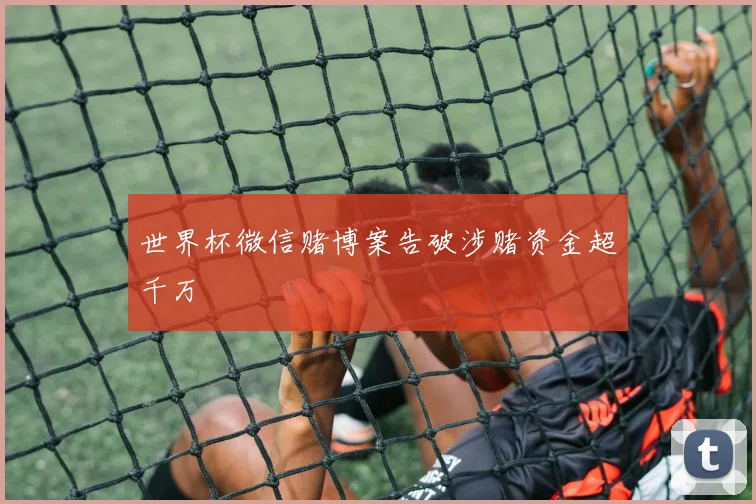 世界杯微信赌博案告破涉赌资金超千万