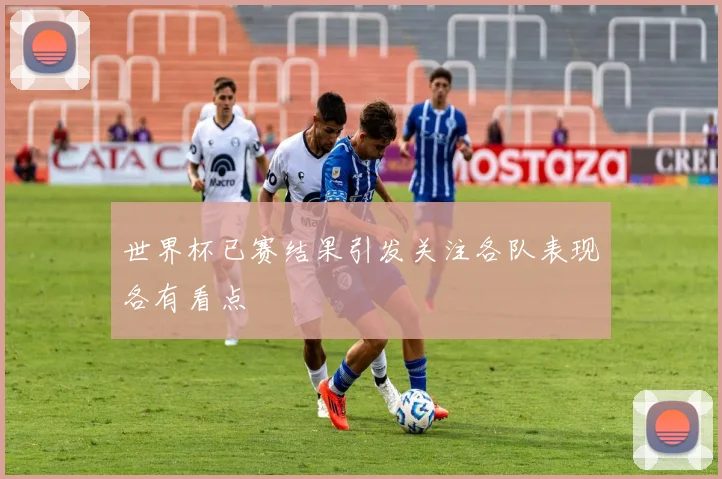 世界杯已赛结果引发关注各队表现各有看点