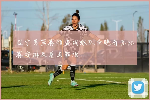 辽宁男篮赛程查询球队今晚有无比赛安排及看点解读