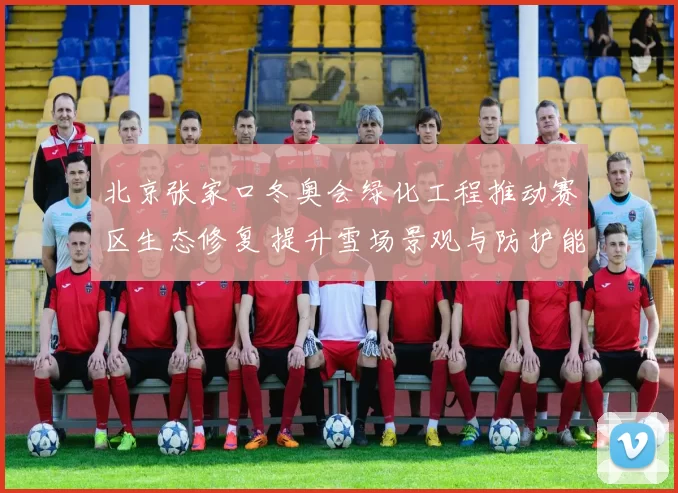 北京张家口冬奥会绿化工程推动赛区生态修复 提升雪场景观与防护能力