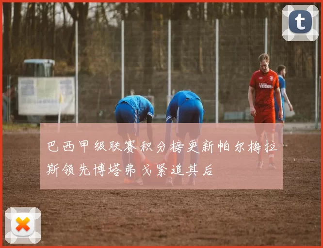 巴西甲级联赛积分榜更新帕尔梅拉斯领先博塔弗戈紧追其后